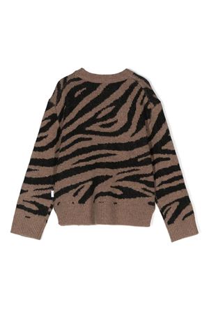 maglione in lana marrone MOLO KIDS | 2W24K2029135